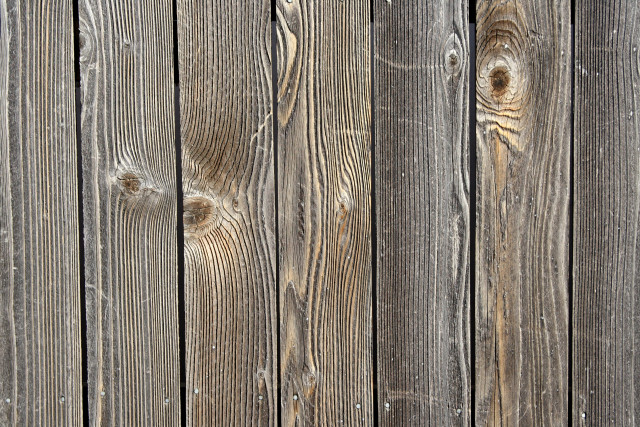 Wooden fence bird closeup minimalism free wallpaper - medium preview image