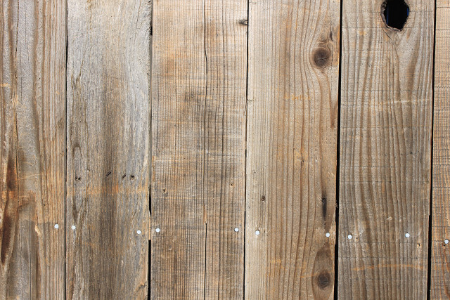 Cat sitting wooden fence looking free wallpaper - medium preview image