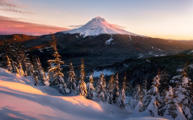 Snowy mountain trees sunset pink #3 free wallpaper - medium preview image