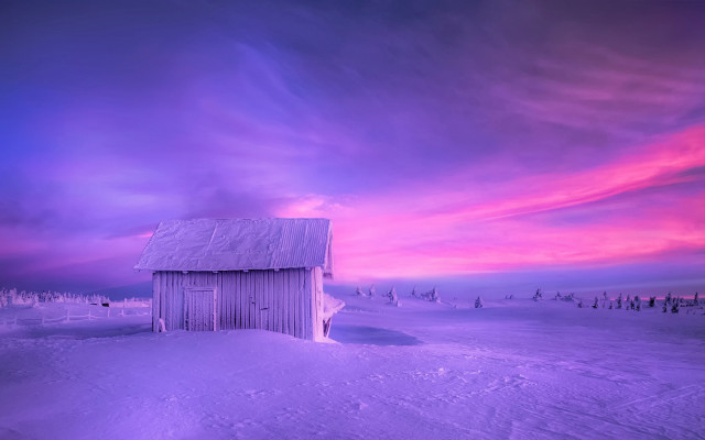 Small cabin snowy field purple free wallpaper - medium preview image