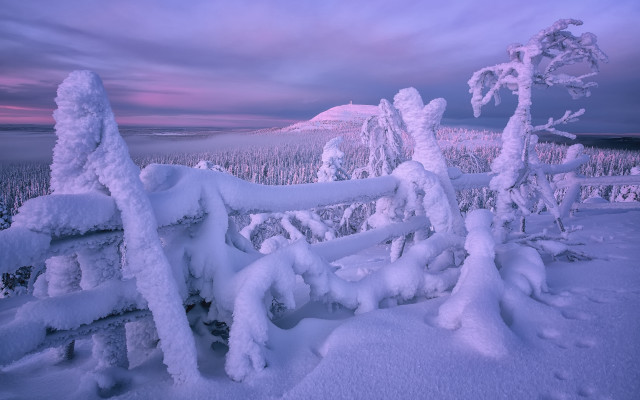 Snowy landscape fence trees sunset free wallpaper - medium preview image