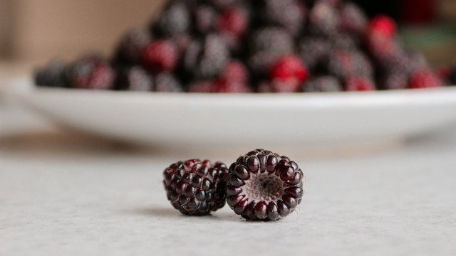 Berries closeup bowl foreground blurry free wallpaper - medium preview image