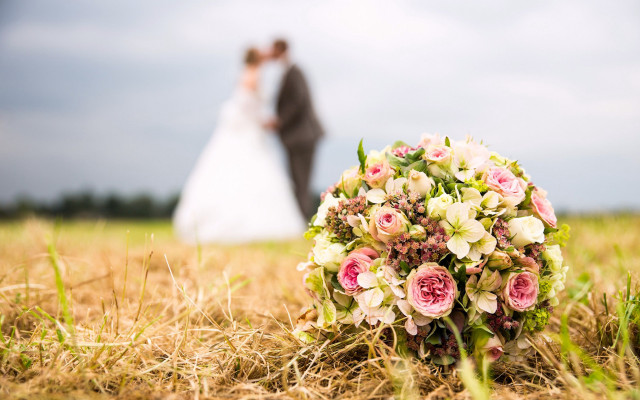 Bride groom flower field blur free wallpaper - medium preview image