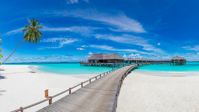 Wooden walkway beach hut palm free wallpaper - medium preview image