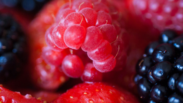 Berries closeup macro photorealism blurry free wallpaper - medium preview image