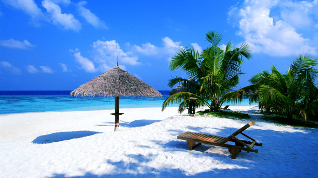 Beach thatched umbrella bench sand #2 free wallpaper - medium preview image