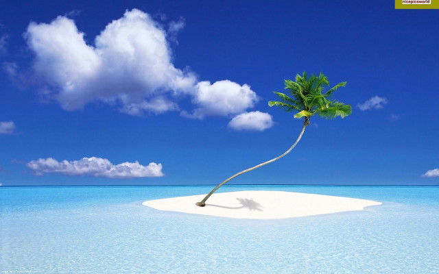Lone palm island ocean beach free wallpaper - medium preview image