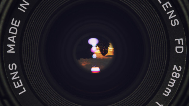 Lens tree fisheye beeple microscopic free wallpaper - medium preview image