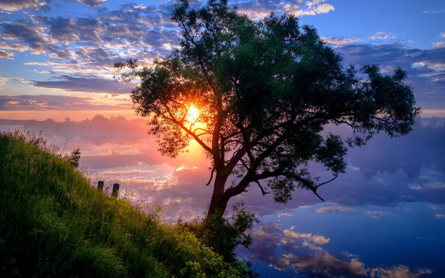 Hill sunset tree clouds beach free wallpaper - medium preview image