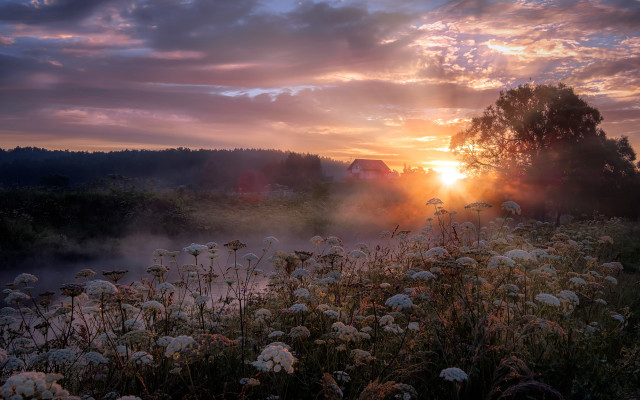 Flower field sunset clouds house free wallpaper - medium preview image