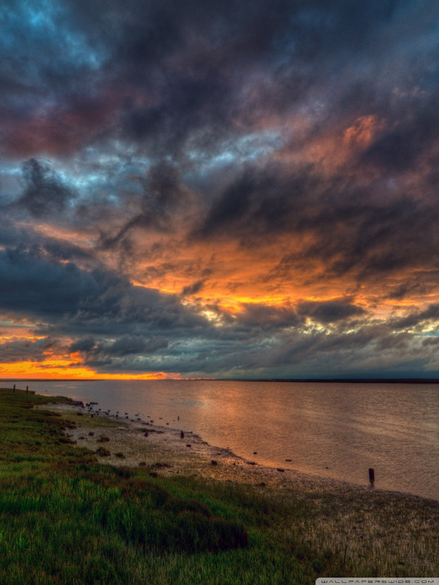 Sunset water person walking shore free wallpaper - medium preview image