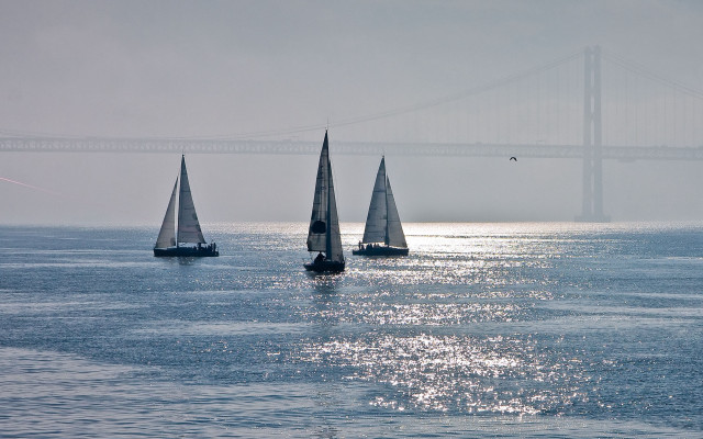 Sailboats bridge bird polarizing impressionist free wallpaper - medium preview image
