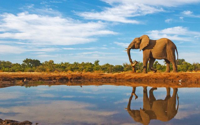 Elephant water sky clouds ecological free wallpaper - medium preview image