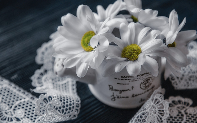 White vase daisies lace still free wallpaper - medium preview image