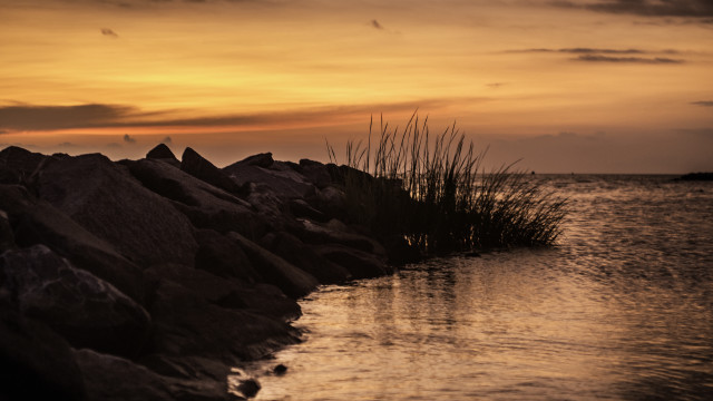 Sunset water rocks grass horizon free wallpaper - medium preview image