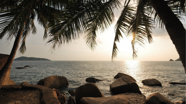 Palm tree rocky beach boat free wallpaper - medium preview image
