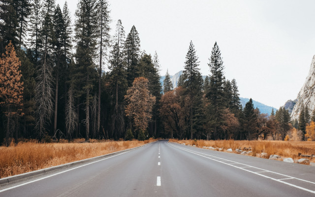 Road trees mountain sky nature free wallpaper - medium preview image