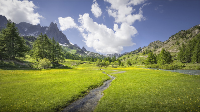 Stream green field forest mountains free wallpaper - medium preview image