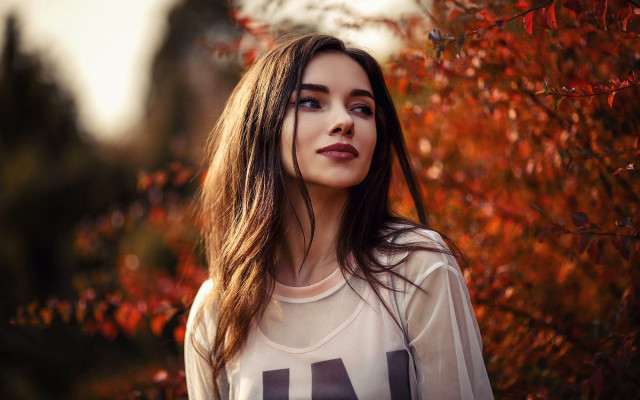 Woman longhair tree autumn leaves free wallpaper - medium preview image