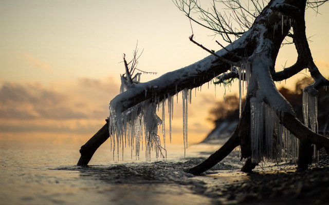 Ice covered branch lake sunset free wallpaper - medium preview image