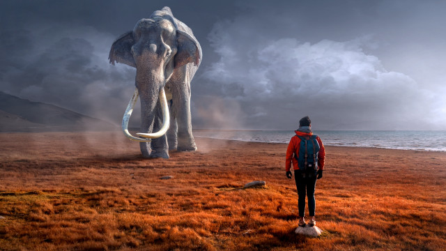 Man elephantstatue field cloudy sunset free wallpaper - medium preview image