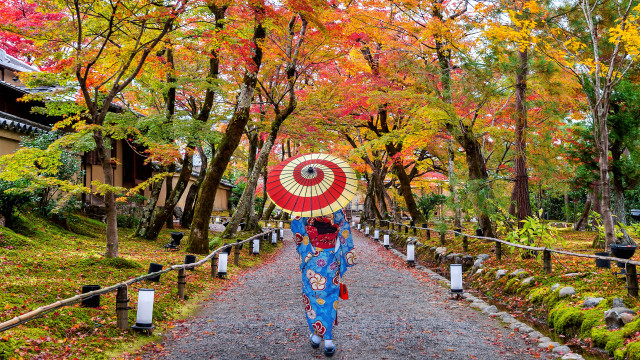 Woman umbrella park autumn leaves free wallpaper - medium preview image