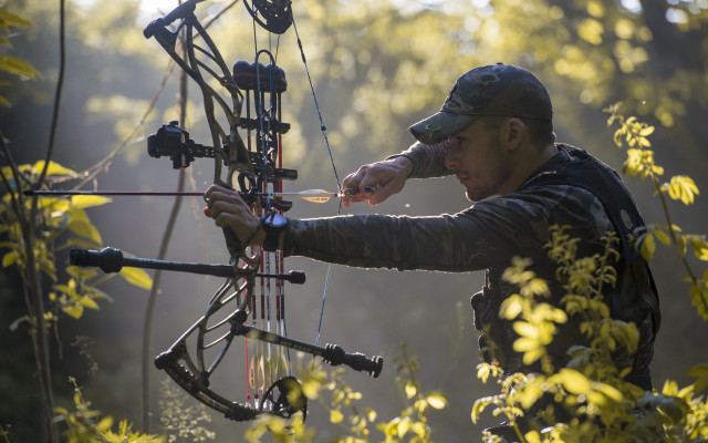 Man aiming bow woods dandelion free wallpaper - medium preview image