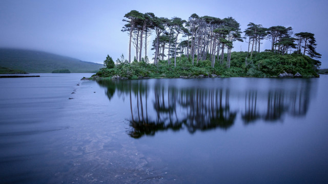 Lake foggy island reflection starry free wallpaper - medium preview image