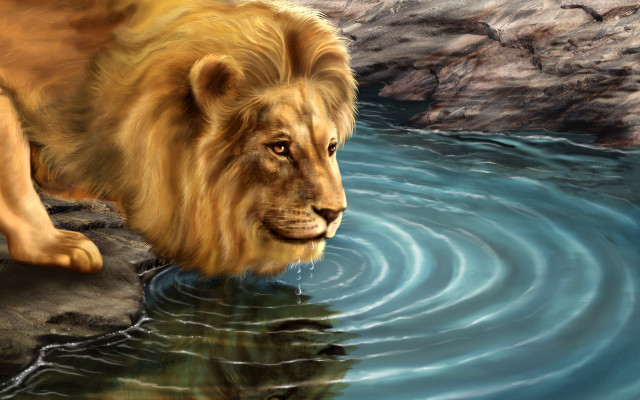 Lion standing water reflection camera free wallpaper - medium preview image