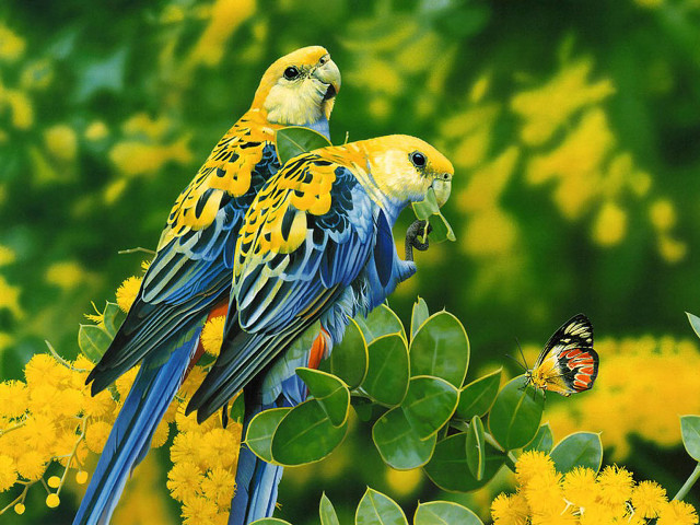 Colorful birds tree branch butterfly free wallpaper - medium preview image