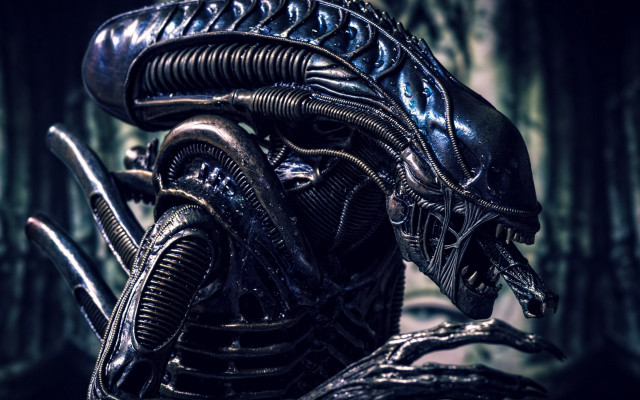 Alien forest mystery sharp teeth free wallpaper - medium preview image