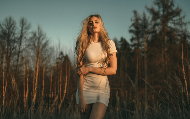 Woman longhair field trees portrait free wallpaper - medium preview image
