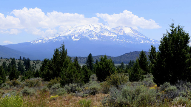 Mountain snow capped peak forest #2 free wallpaper - medium preview image