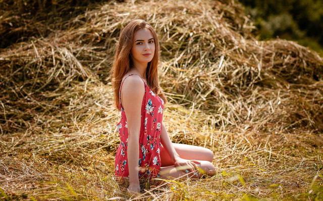 Woman sitting hay field crossed free wallpaper - medium preview image