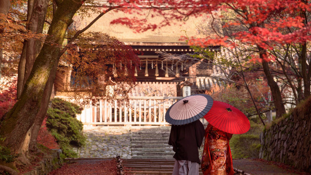 Fall umbrella path japanese architecture free wallpaper - medium preview image