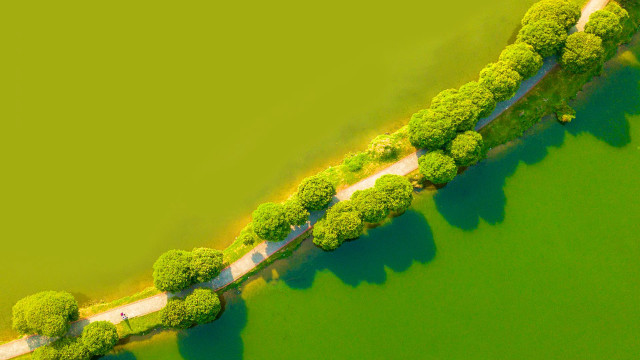 Long road river trees green free wallpaper - medium preview image