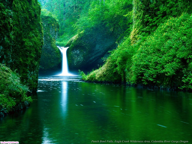 Waterfall green forest stream nature #4 free wallpaper - medium preview image