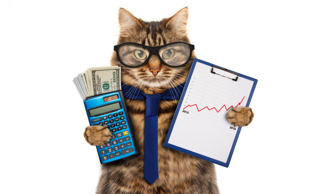 Cat glasses clipboard calculator graph free wallpaper - medium preview image
