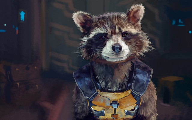 Raccoon leather outfit helmet chest free wallpaper - medium preview image