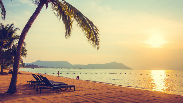 Beach palm tree sunset lounge free wallpaper - medium preview image