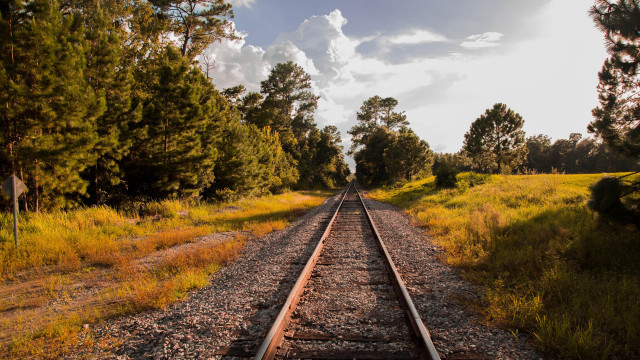 Train grass trees clouds autumn free wallpaper - medium preview image