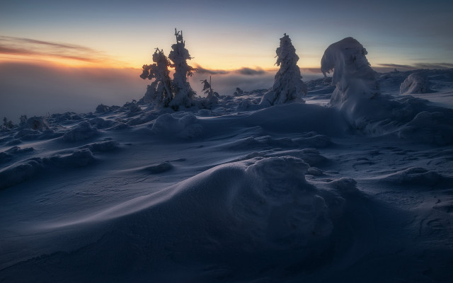 Snowy landscape trees sunset dawn free wallpaper - medium preview image