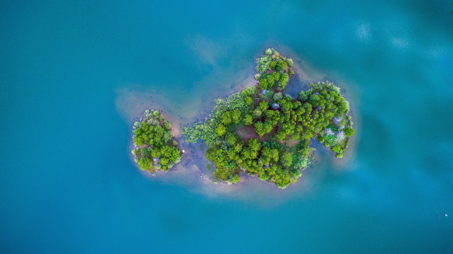 Small island trees ocean fractal free wallpaper - medium preview image