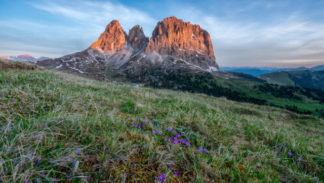 Grassy field flowers mountains sunset free wallpaper - medium preview image