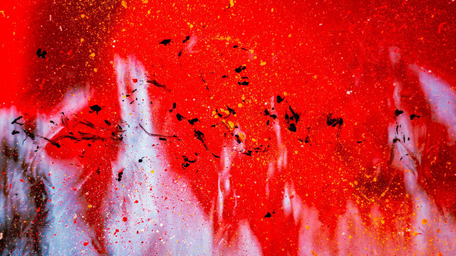 Red black bird fireworks aurora free wallpaper - medium preview image