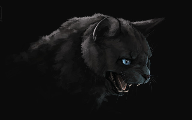 Black cat blue eyes snarling free wallpaper - medium preview image
