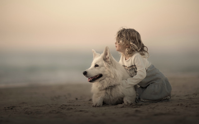 Little girl beach dog cloudy free wallpaper - medium preview image