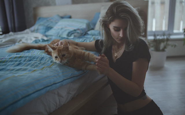 Woman petting cat bedroom blue free wallpaper - medium preview image