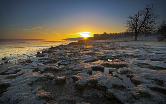 Snowy beach dusk trees water free wallpaper - medium preview image