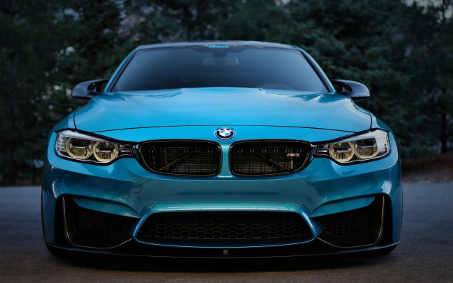 Blue car forest evening headlights free wallpaper - medium preview image